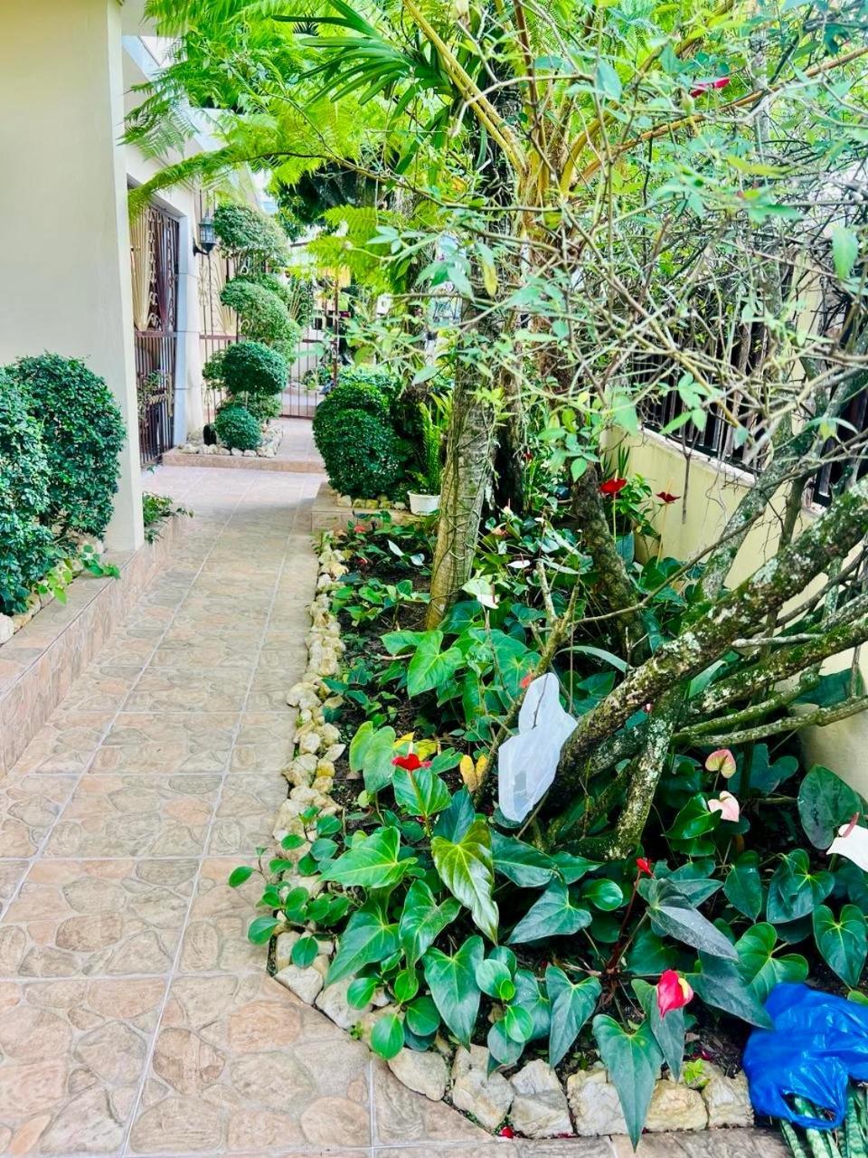 Oasis Dona Elena Villa Jarabacoa Exteriör bild